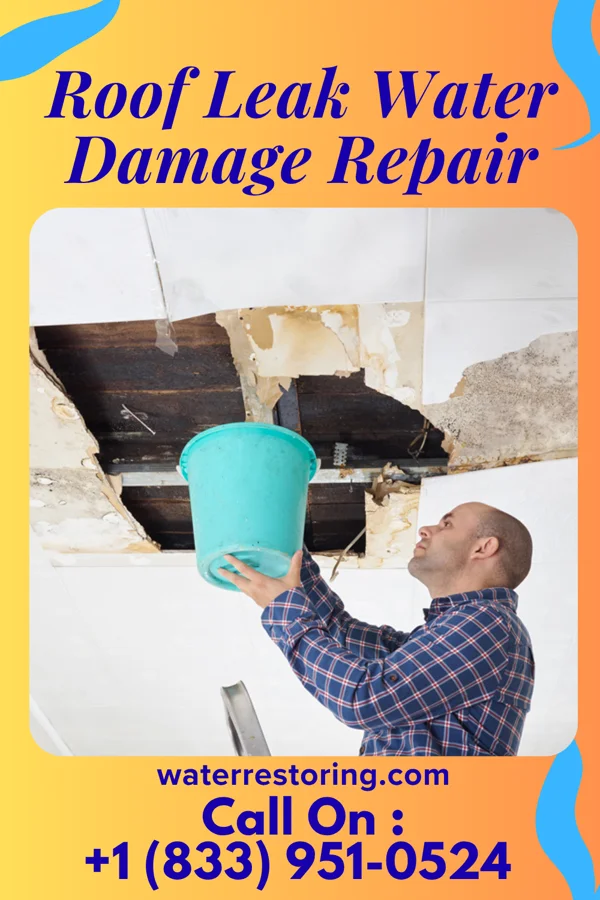 Roof Leak Water Damage Repair in Glasgow, VA